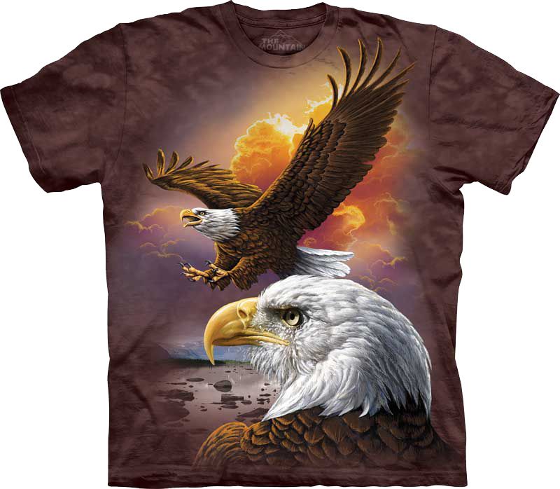 Футболка The Mountain - Eagle and Clouds (3370L)